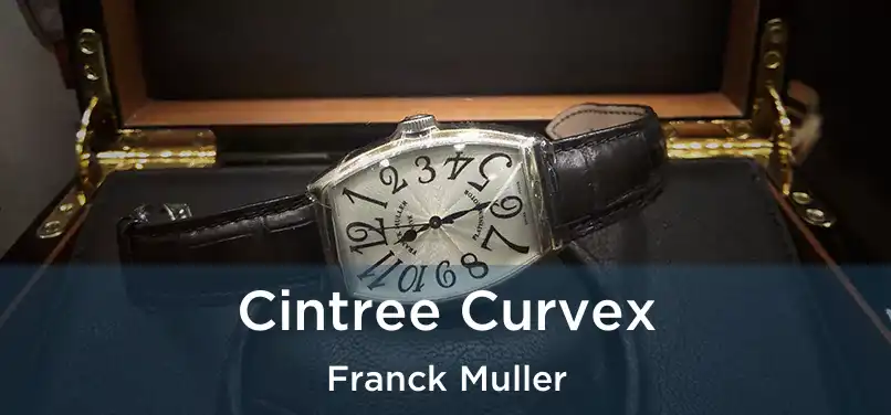  Cintree Curvex Franck Muller