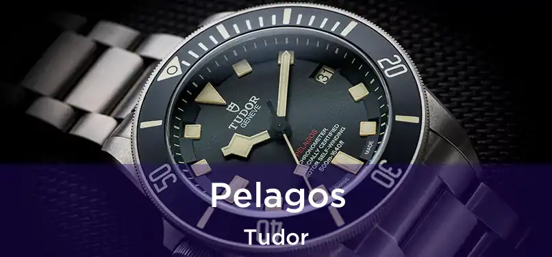  Pelagos Tudor