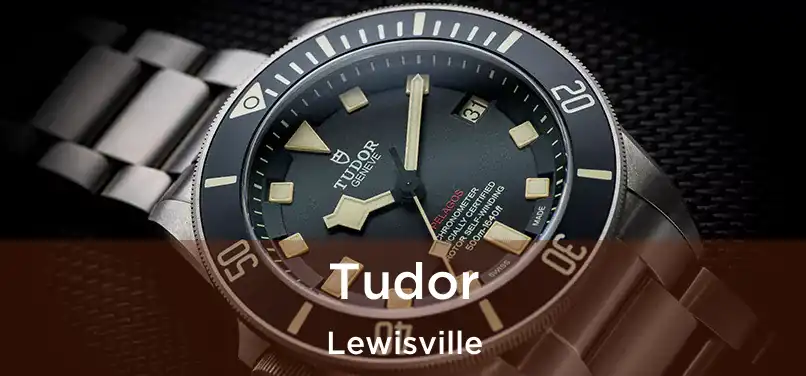  Tudor Lewisville